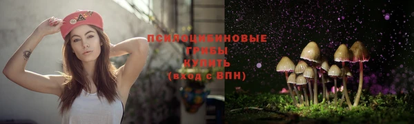 гидра Алзамай