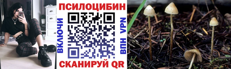 где купить наркоту  Ливны  Псилоцибиновые грибы MAGIC MUSHROOMS 
